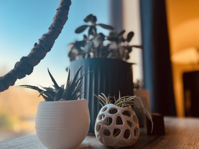 A few plants on a console table at Fort Wellness Counseling