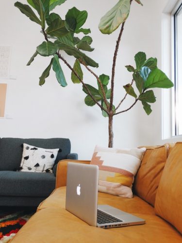 A laptop on a couch in a counseling office.